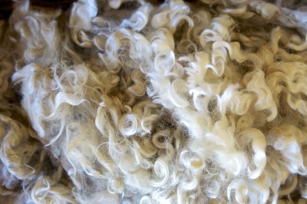 動物繊維（生糸、絹糸、羊毛、カシミヤ）